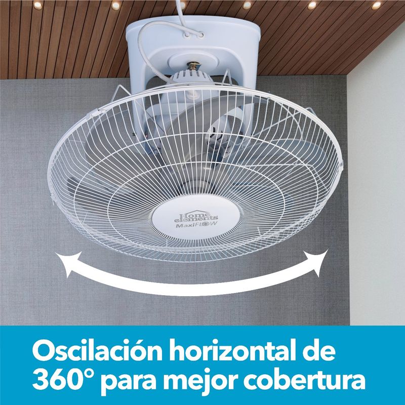 299896819_11.jpg